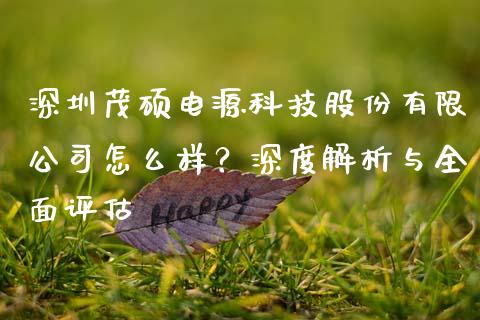 深圳茂硕电源科技股份有限公司怎么样？深度解析与全面评估_https://www.fansifence.com_国际期货_第1张