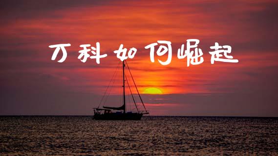 万科如何崛起_https://www.fansifence.com_国际期货行情_第1张