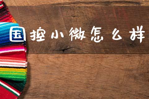 国控小微怎么样_https://www.fansifence.com_恒指交易时间_第1张