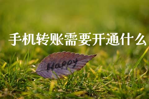 手机转账需要开通什么_https://www.fansifence.com_国际期货行情_第1张