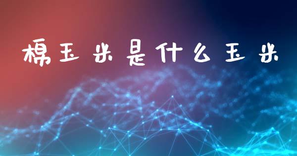 棉玉米是什么玉米_https://www.fansifence.com_国际期货_第1张
