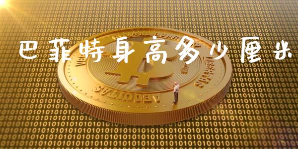 巴菲特身高多少厘米_https://www.fansifence.com_国际期货_第1张