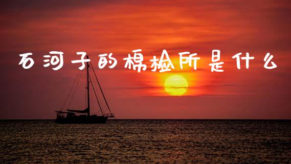 石河子的棉检所是什么_https://www.fansifence.com_中国国际期货_第1张