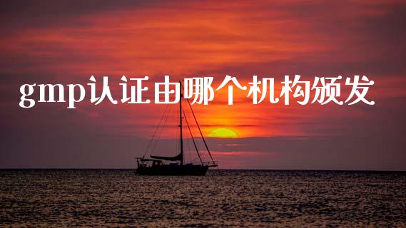 gmp认证由哪个机构颁发_https://www.fansifence.com_中国国际期货_第1张