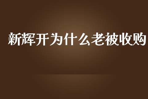 新辉开为什么老被收购_https://www.fansifence.com_恒指交易时间_第1张