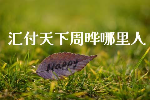 汇付天下周晔哪里人_https://www.fansifence.com_国际期货_第1张