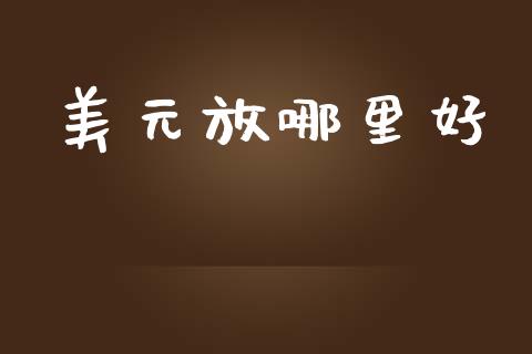 美元放哪里好_https://www.fansifence.com_国际期货行情_第1张