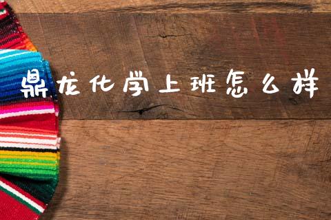 鼎龙化学上班怎么样_https://www.fansifence.com_恒指交易时间_第1张