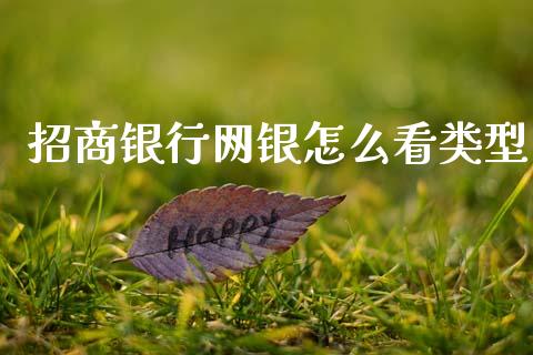 招商银行网银怎么看类型_https://www.fansifence.com_中国国际期货_第1张