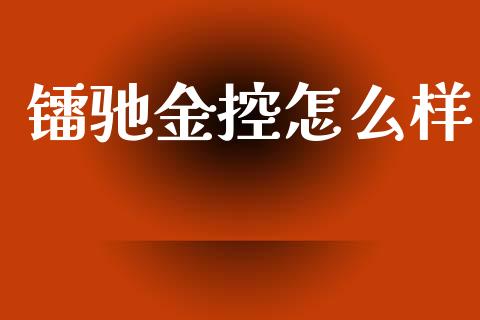 镭驰金控怎么样_https://www.fansifence.com_国际期货_第1张