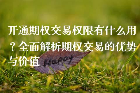 开通期权交易权限有什么用？全面解析期权交易的优势与价值_https://www.fansifence.com_国际期货行情_第1张