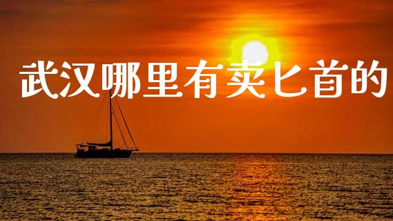 武汉哪里有卖匕首的_https://www.fansifence.com_国际期货_第1张