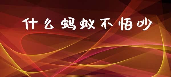 什么蚂蚁不怕吵_https://www.fansifence.com_国际期货_第1张