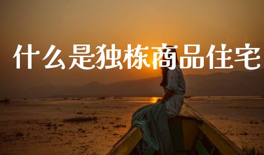 什么是独栋商品住宅_https://www.fansifence.com_中国国际期货_第1张