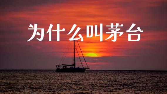 为什么叫茅台_https://www.fansifence.com_国际期货_第1张
