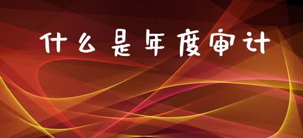 什么是年度审计_https://www.fansifence.com_国际期货行情_第1张