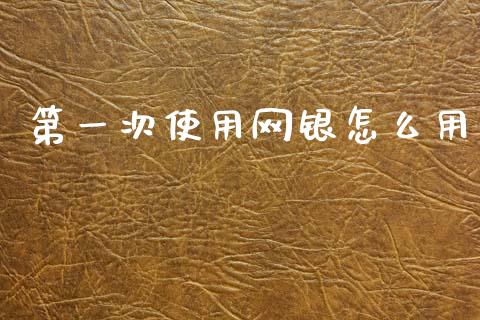 第一次使用网银怎么用_https://www.fansifence.com_中国国际期货_第1张