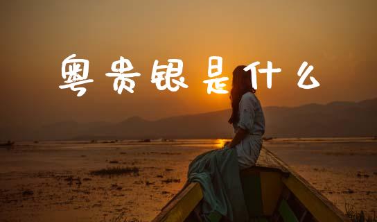 粤贵银是什么_https://www.fansifence.com_国际期货行情_第1张