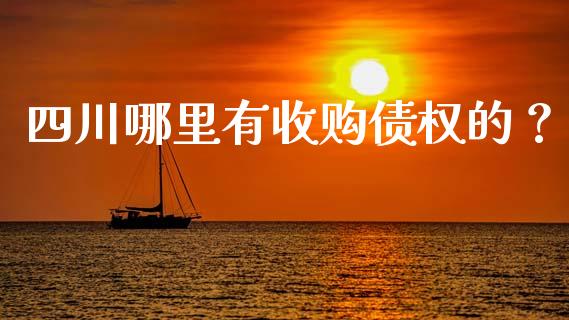 四川哪里有收购债权的？_https://www.fansifence.com_国际期货_第1张