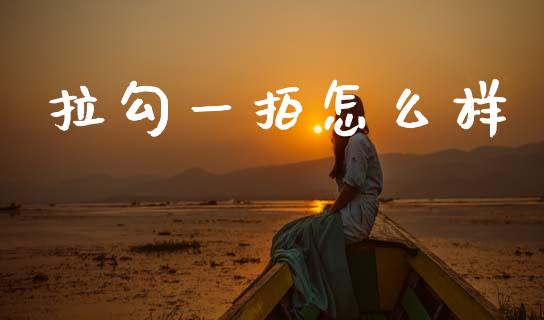 拉勾一拍怎么样_https://www.fansifence.com_国际期货行情_第1张