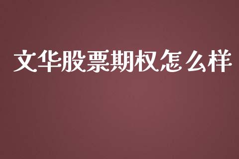 文华股票期权怎么样_https://www.fansifence.com_国际期货行情_第1张