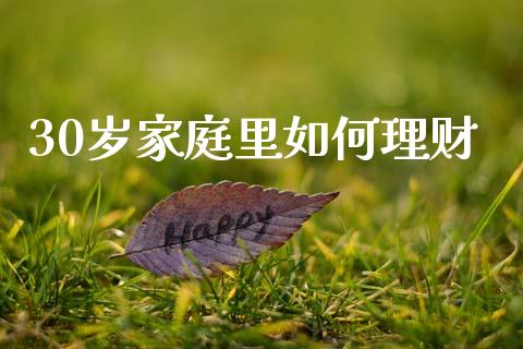 30岁家庭里如何理财_https://www.fansifence.com_恒指交易时间_第1张
