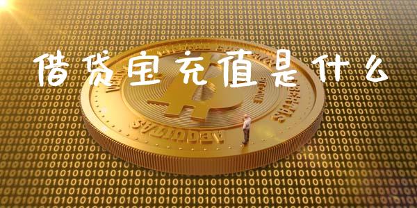 借贷宝充值是什么_https://www.fansifence.com_中国国际期货_第1张