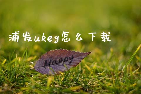 浦发ukey怎么下载_https://www.fansifence.com_中国国际期货_第1张