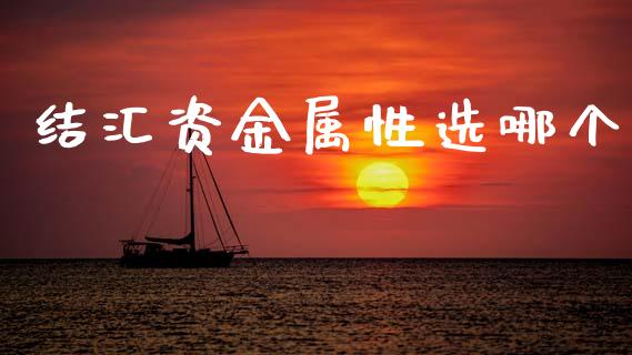 结汇资金属性选哪个_https://www.fansifence.com_恒指交易时间_第1张