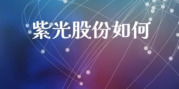 紫光股份如何_https://www.fansifence.com_中国国际期货_第1张