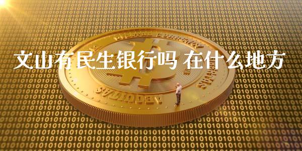 文山有民生银行吗 在什么地方_https://www.fansifence.com_国际期货行情_第1张