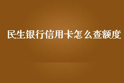 民生银行信用卡怎么查额度_https://www.fansifence.com_国际期货行情_第1张