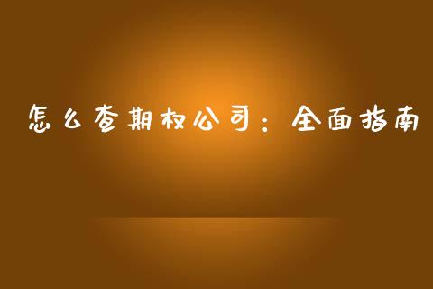 怎么查期权公司：全面指南_https://www.fansifence.com_恒指交易时间_第1张
