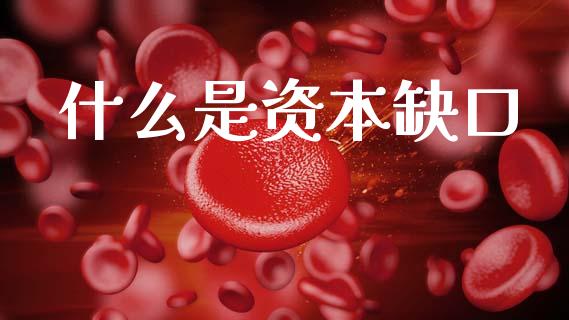 什么是资本缺口_https://www.fansifence.com_国际期货行情_第1张