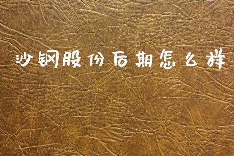 沙钢股份后期怎么样_https://www.fansifence.com_恒指交易时间_第1张