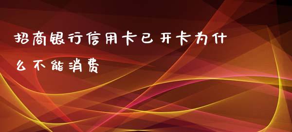 招商银行信用卡已开卡为什么不能消费_https://www.fansifence.com_中国国际期货_第1张