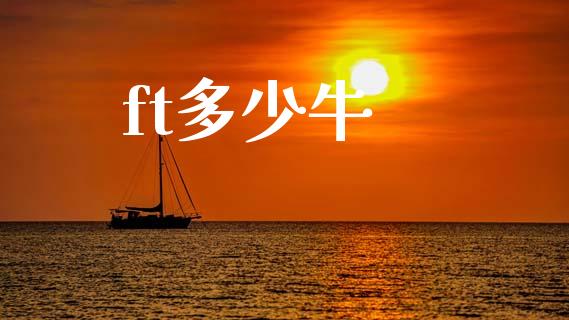 ft多少牛_https://www.fansifence.com_中国国际期货_第1张