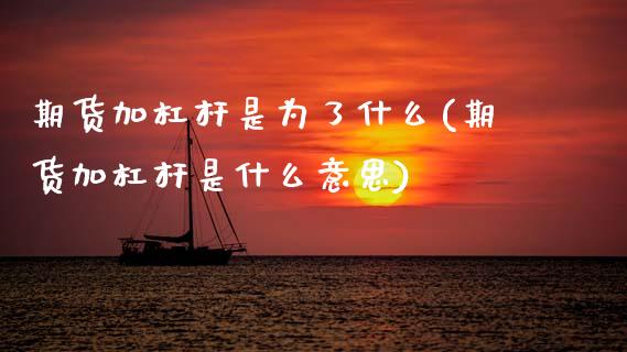 期货加杠杆是为了什么(期货加杠杆是什么意思)_https://www.fansifence.com_国际期货行情_第1张