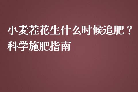 小麦茬花生什么时候追肥？科学施肥指南_https://www.fansifence.com_恒指交易时间_第1张