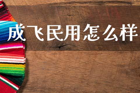 成飞民用怎么样_https://www.fansifence.com_国际期货_第1张