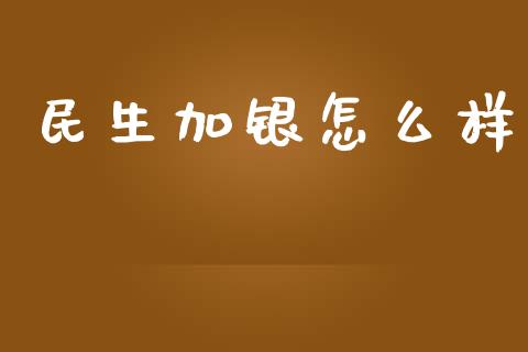 民生加银怎么样_https://www.fansifence.com_恒指交易时间_第1张