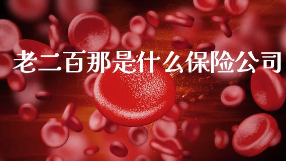 老二百那是什么保险公司_https://www.fansifence.com_国际期货行情_第1张