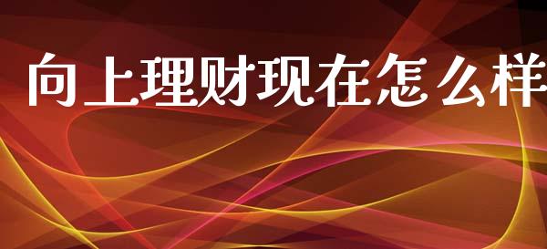 向上理财现在怎么样_https://www.fansifence.com_国际期货行情_第1张