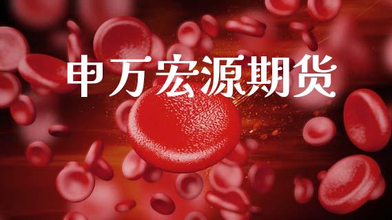 申万宏源期货_https://www.fansifence.com_恒指交易时间_第1张