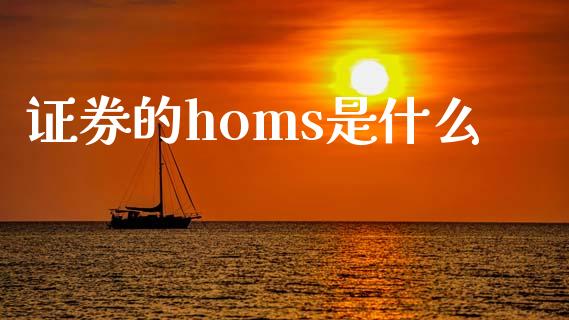 证券的homs是什么_https://www.fansifence.com_中国国际期货_第1张