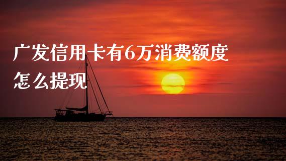 广发信用卡有6万消费额度怎么提现_https://www.fansifence.com_中国国际期货_第1张