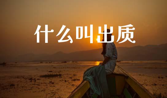 什么叫出质_https://www.fansifence.com_中国国际期货_第1张
