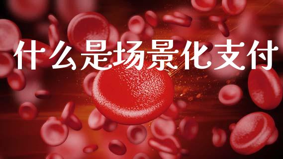什么是场景化支付_https://www.fansifence.com_国际期货行情_第1张