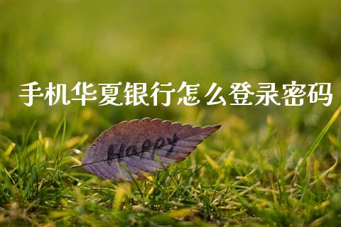 手机华夏银行怎么登录密码_https://www.fansifence.com_国际期货_第1张