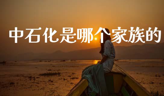 中石化是哪个家族的_https://www.fansifence.com_中国国际期货_第1张